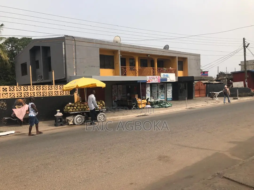 Commercial Store and Shop