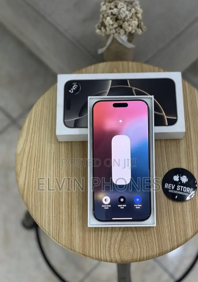 Apple iPhone 16 Pro Max 256 GB Gray