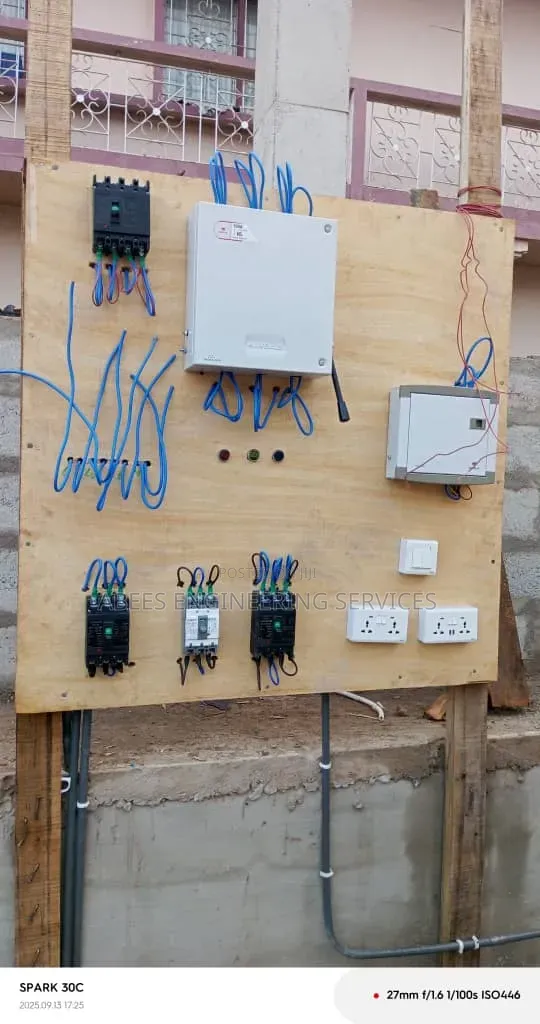 Professional Electrician