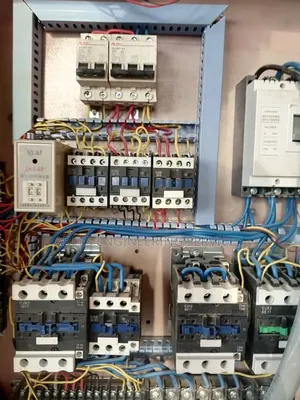 Professional Electrician