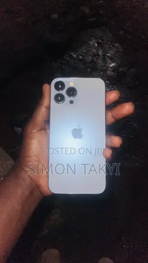 Apple iPhone 13 Pro Max 256 GB Gray