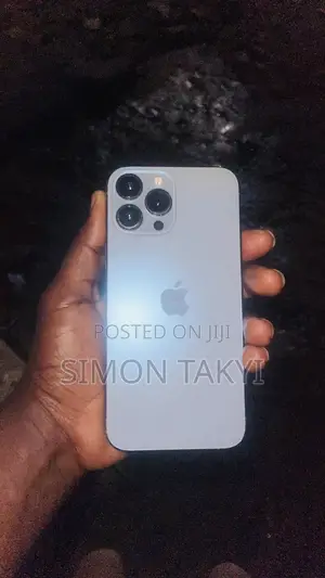 Apple iPhone 13 Pro Max 256 GB Gray