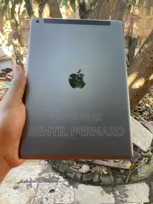 Apple iPad 10.2 (2019) 32 GB Gray