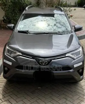 Toyota RAV4 2017 Gray