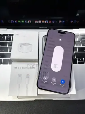 Apple iPhone 15 Pro Max 256 GB Silver