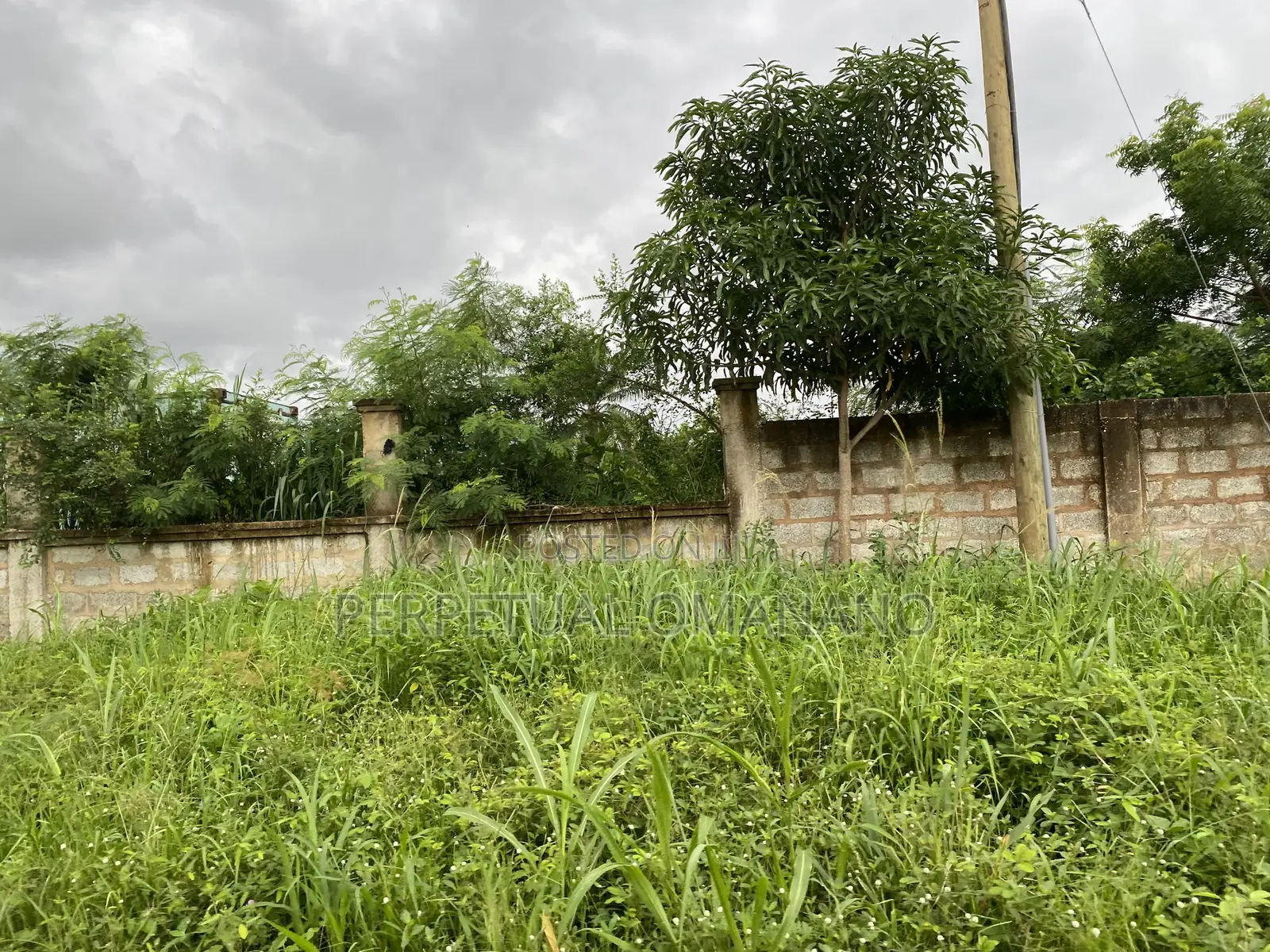 Registered Plots for Sale at Akuse Close to Akosombo