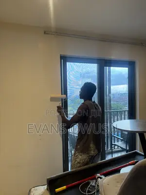 Professional Painter
