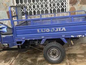New Luojia Clean Tricycle 2026 Blue