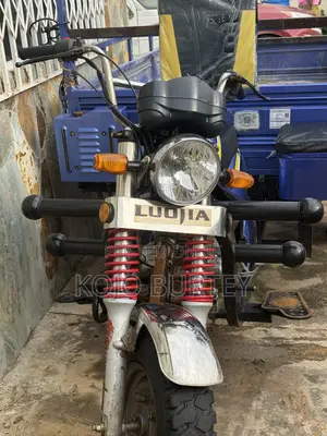 New Luojia Clean Tricycle 2026 Blue