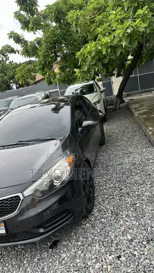 Kia Forte 2014 Gray
