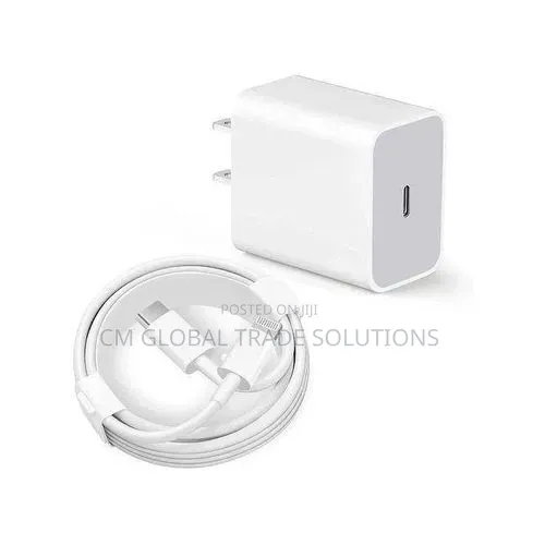 iPhone Charger