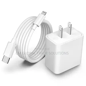 iPhone Charger