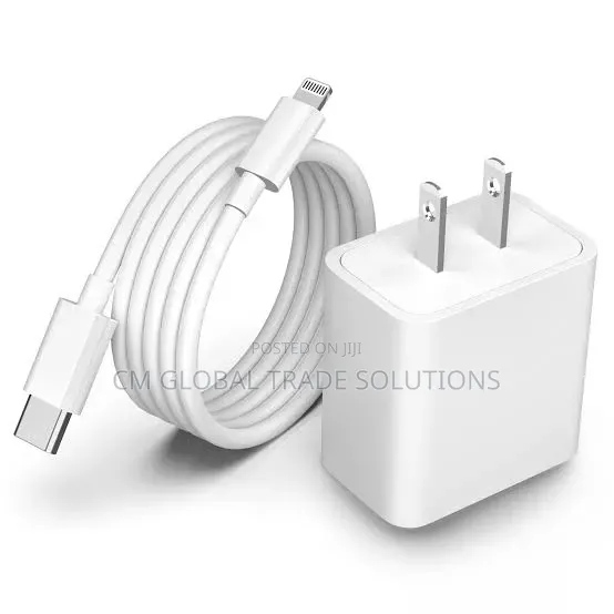 iPhone Charger