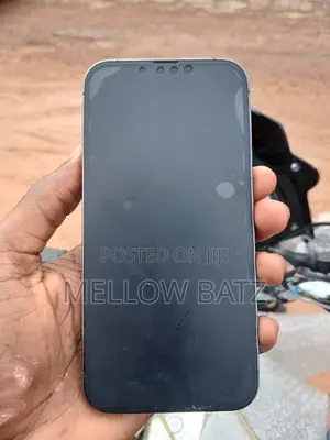 Apple iPhone 13 Pro 128 GB Gray