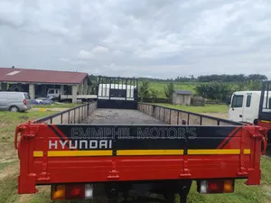 New Arrival, Hyundai Double Axle. Manual Engine