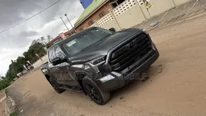 Toyota Tundra 2024 Gray