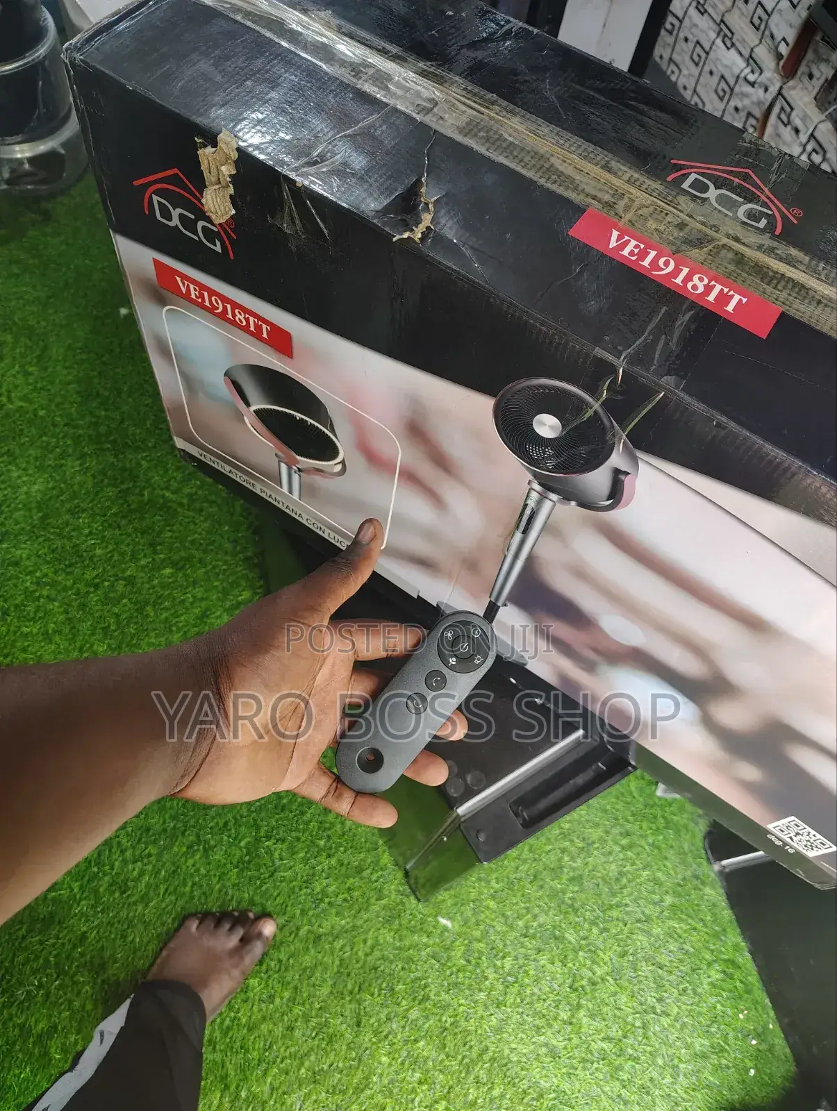 DCG Stand Fan