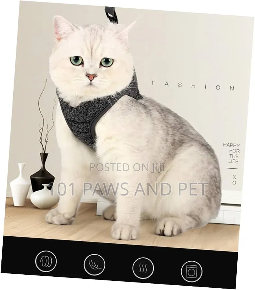 Dog / Cat / Rabbit Escape-Proof Harness Adjustable Vest Pet
