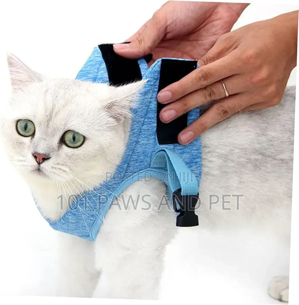 Dog / Cat / Rabbit Escape-Proof Harness Adjustable Vest Pet