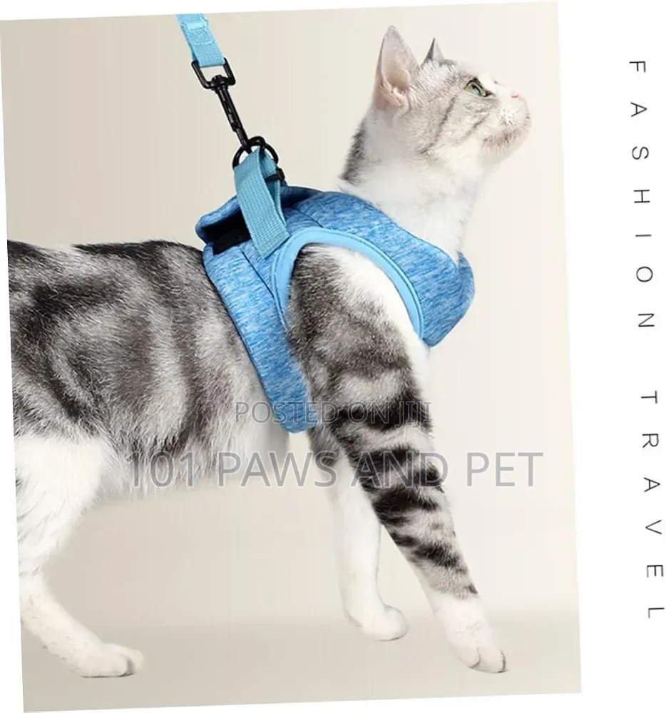 Dog / Cat / Rabbit Escape-Proof Harness Adjustable Vest Pet