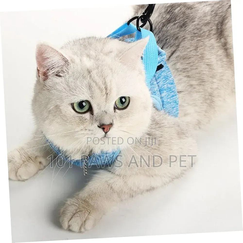 Dog / Cat / Rabbit Escape-Proof Harness Adjustable Vest Pet