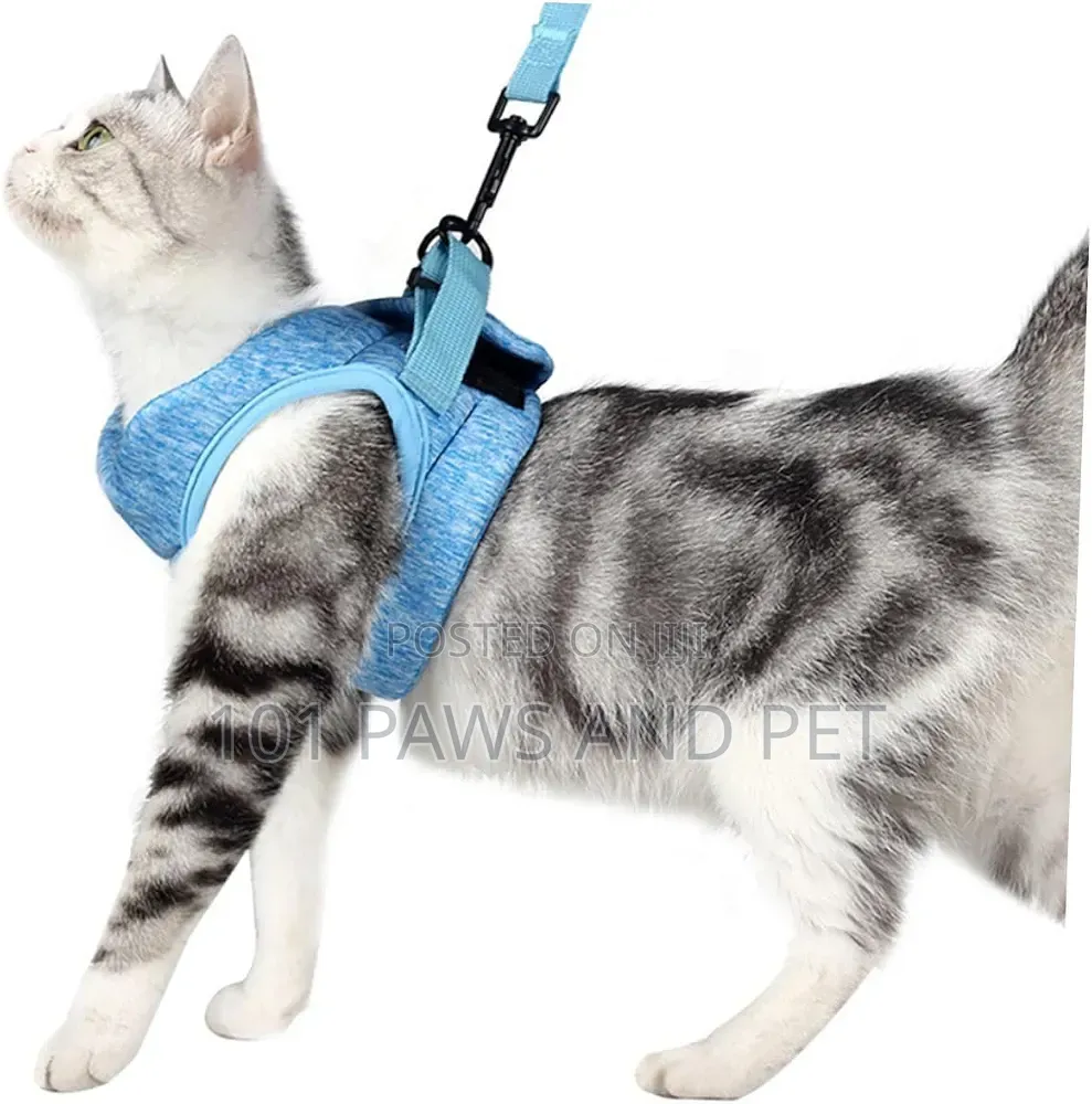 Dog / Cat / Rabbit Escape-Proof Harness Adjustable Vest Pet