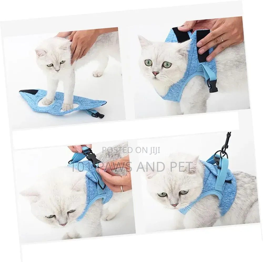 Dog / Cat / Rabbit Escape-Proof Harness Adjustable Vest Pet