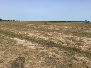 -tsopoli Genuine -full Plots - (Well-demarcated)