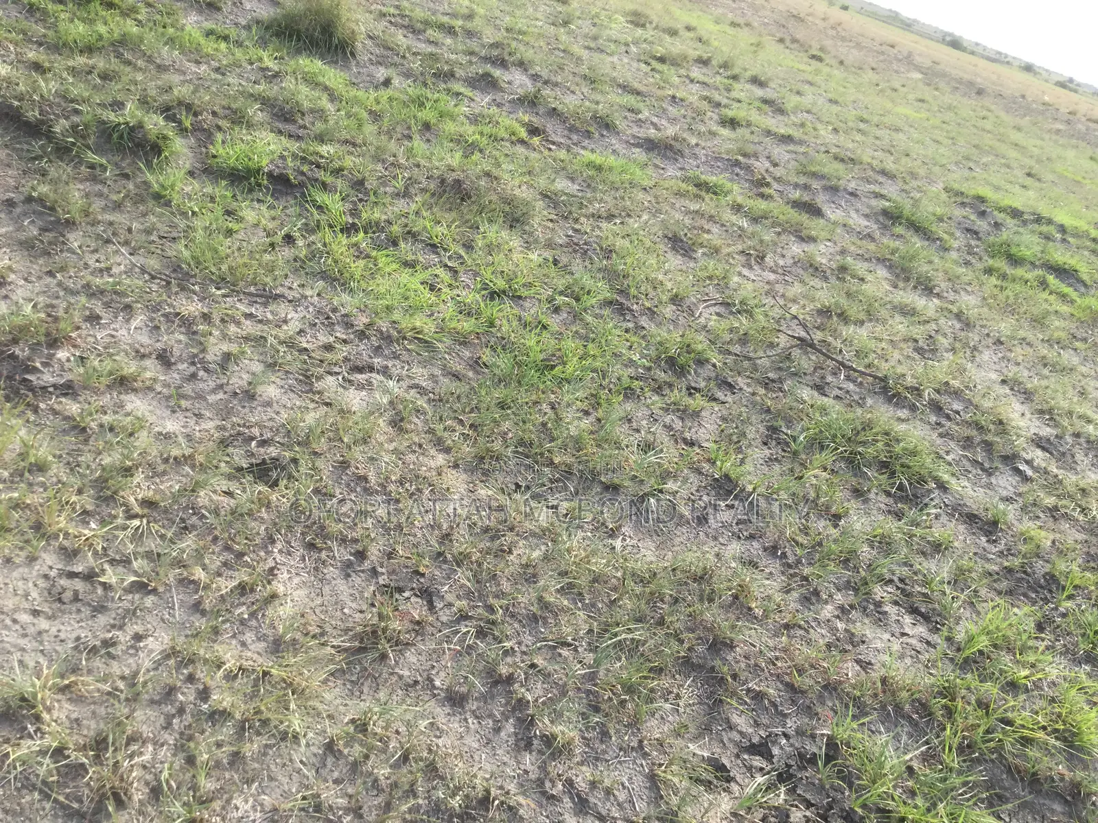 Full Plots - Tsopoli Airport City (Estate - Lands) 