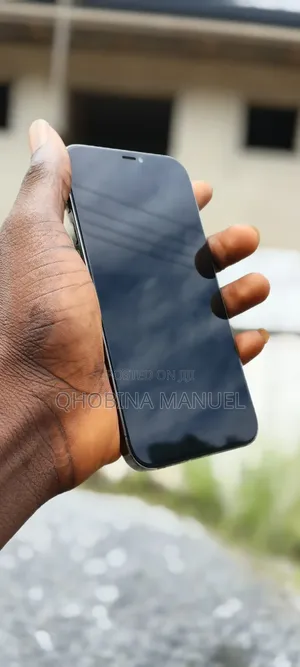 Apple iPhone 12 Pro Max 128 GB Gray