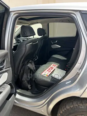 Acura RDX Tech Pkg SH-AWD 2020 Gray