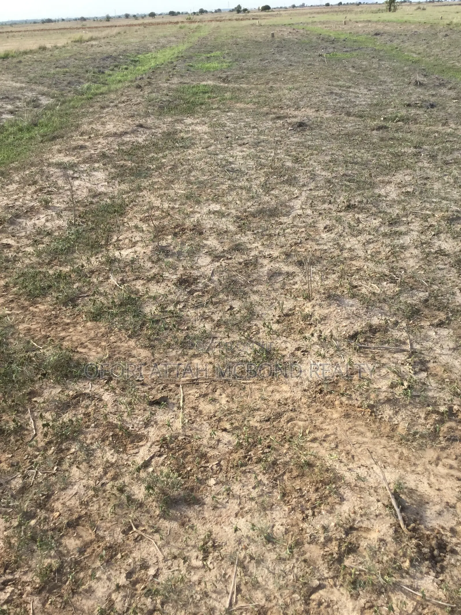Tsopoli Estate_- Residential Full Plots (Secured Plots)
