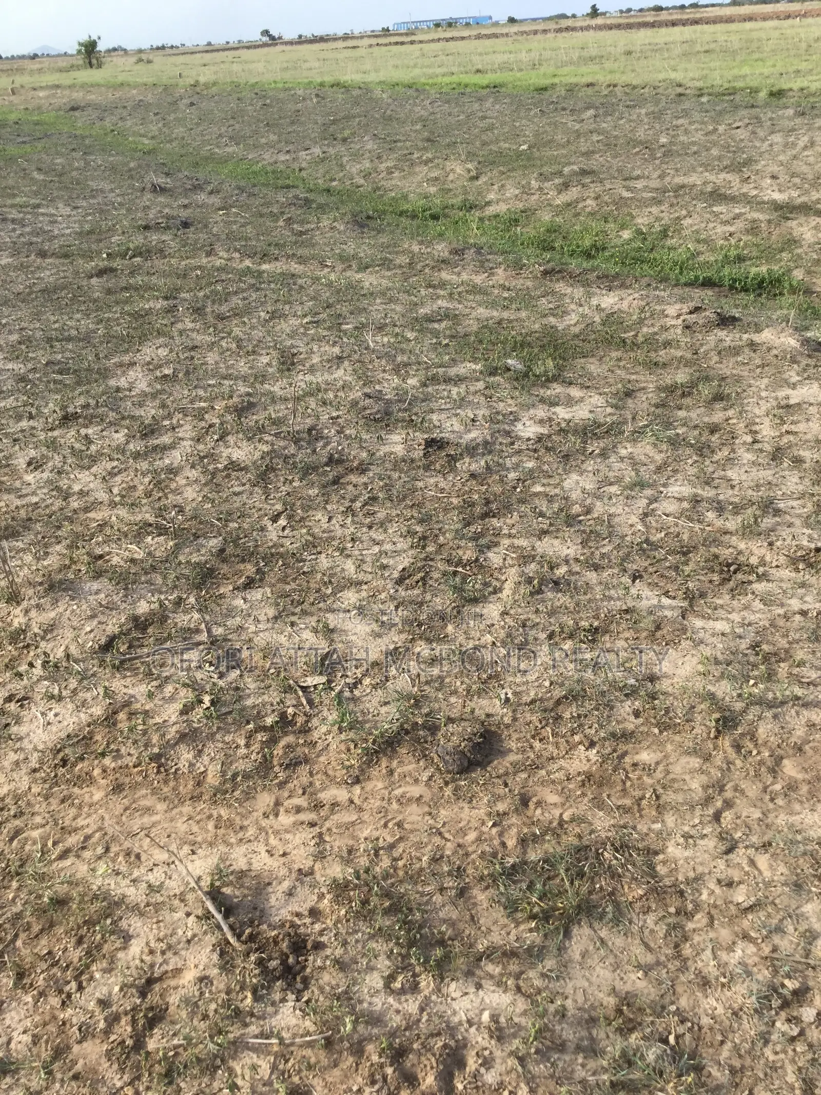 Tsopoli Estate_- Residential Full Plots (Secured Plots)