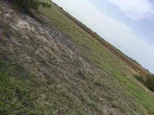 Prampram - (Tsopoli Airport City) = Exclusive Lands / Plots !
