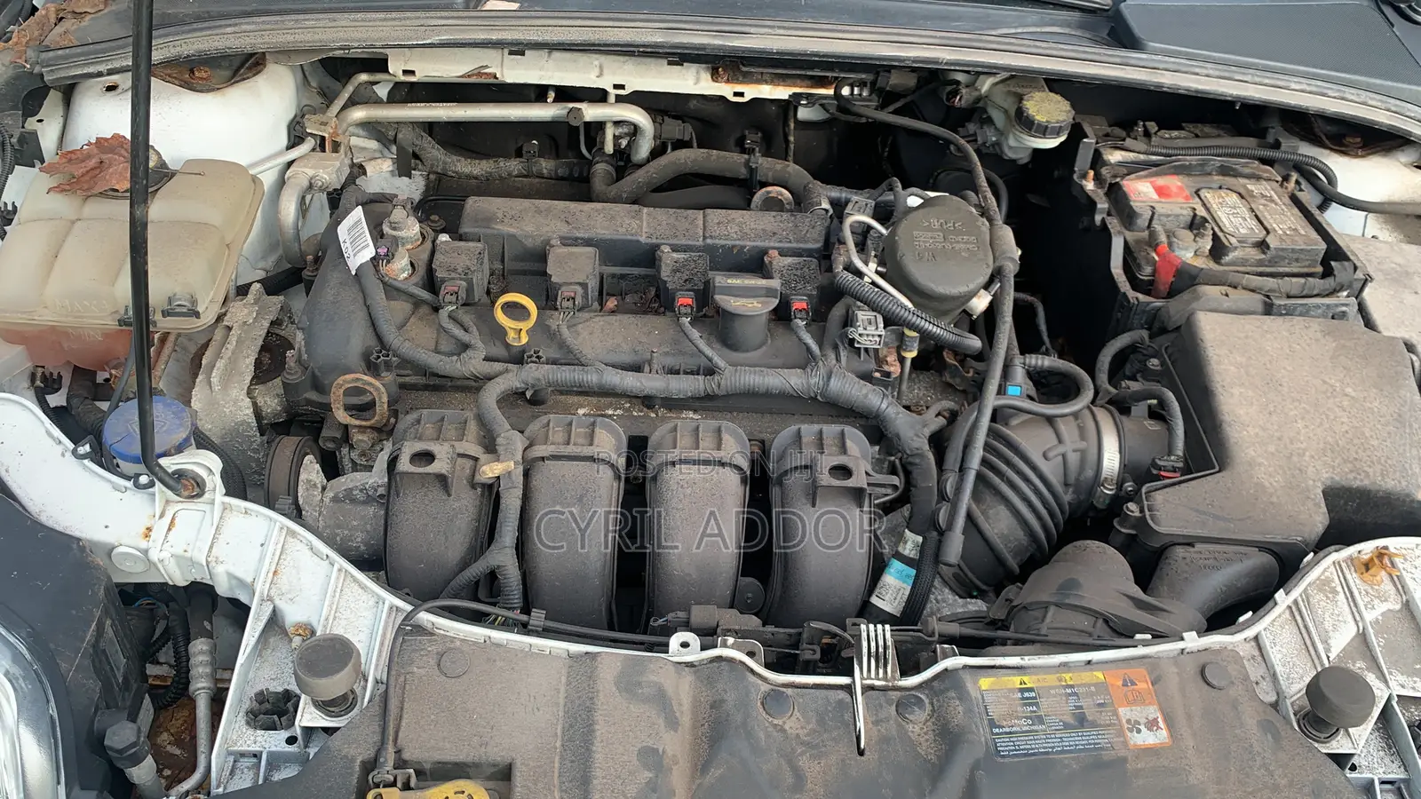 Ford Focus SE Sedan FWD (2.0L 4cyl 5M) 2013 White