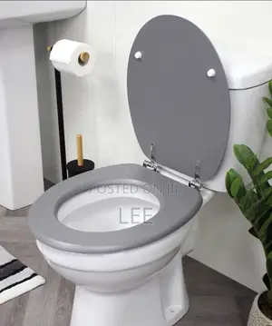 All Plumbing Work