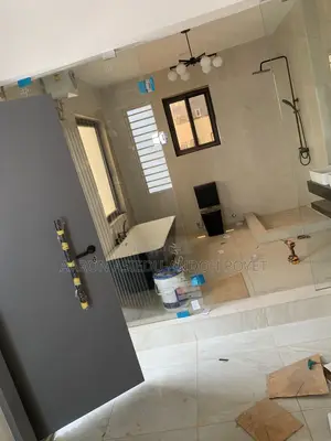 Frameless Door