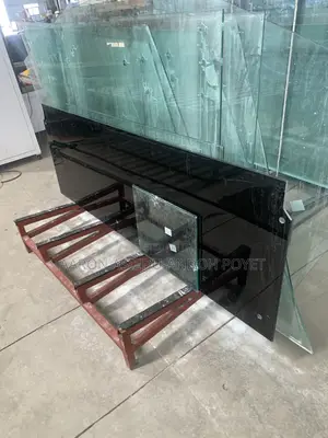 Frameless Door