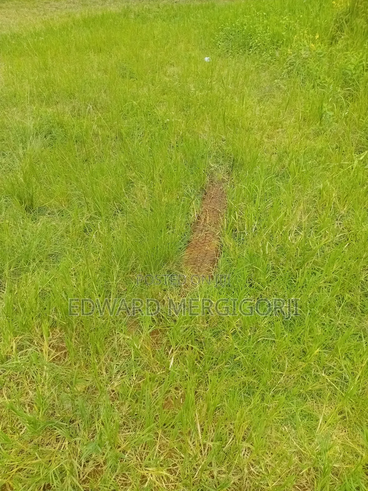Full Plot of Land at Mfensi
