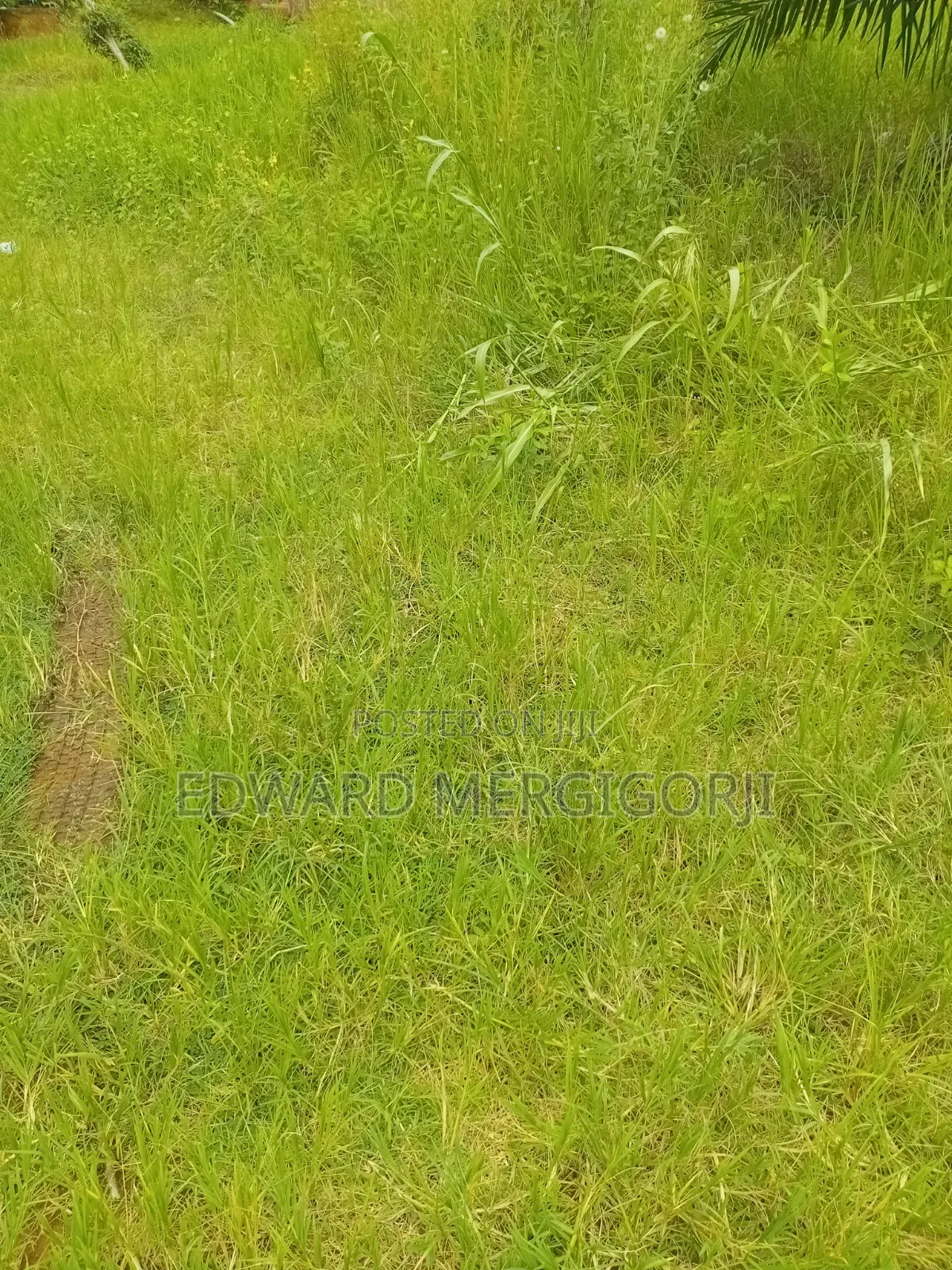 Full Plot of Land at Mfensi