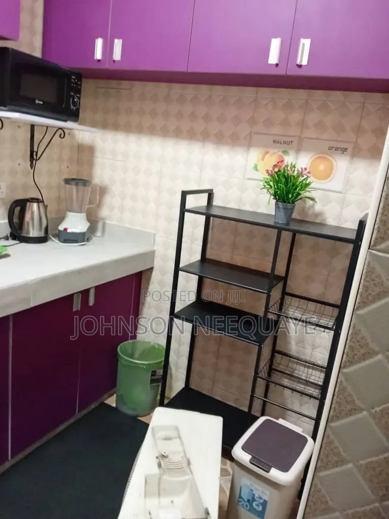 Furnished 2bdrm Apartment in Tseaddo for rent