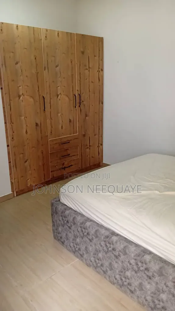 Furnished 2bdrm Apartment in Tseaddo for rent