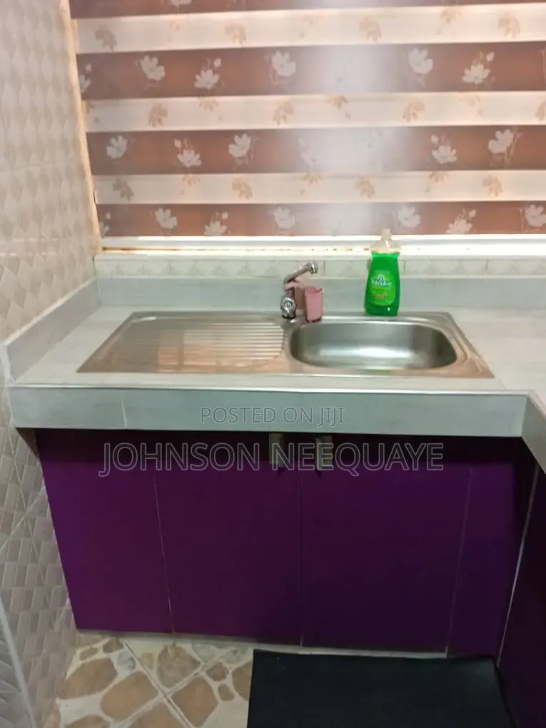 Furnished 2bdrm Apartment in Tseaddo for rent