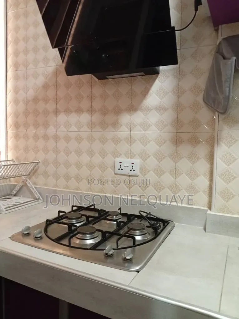Furnished 2bdrm Apartment in Tseaddo for rent