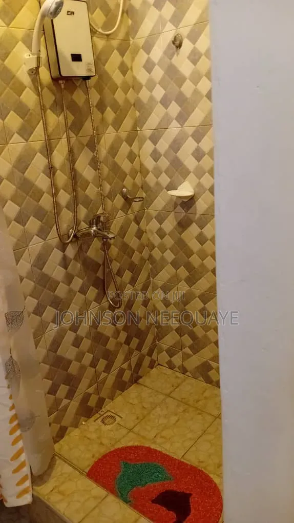 Furnished 2bdrm Apartment in Tseaddo for rent