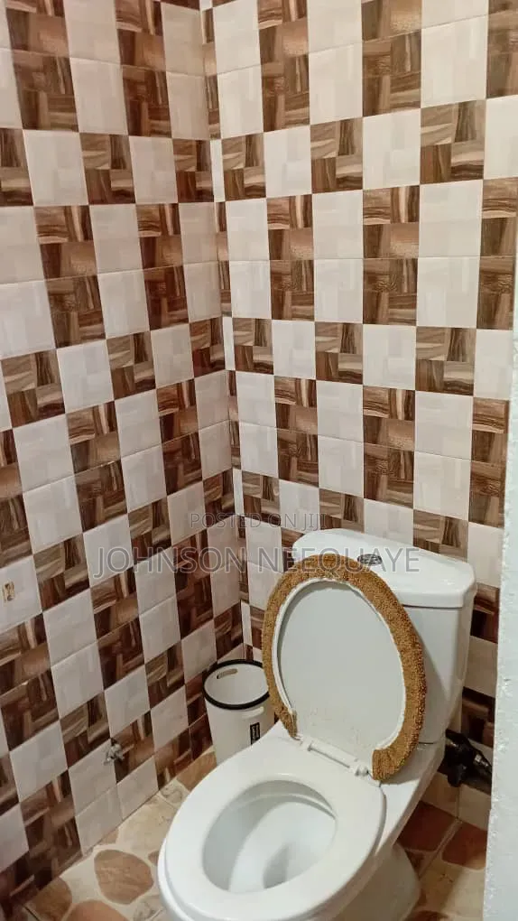 Furnished 2bdrm Apartment in Tseaddo for rent