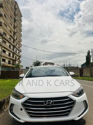 Hyundai Elantra ECO Sedan FWD (1.4L 4cyl 7A) 2017 White