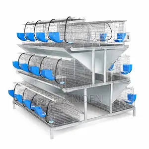 Rabbit and Poultry Cages