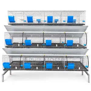 Rabbit and Poultry Cages