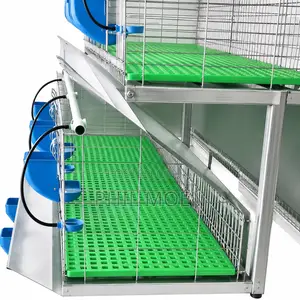 Rabbit and Poultry Cages